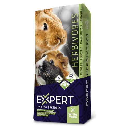 Witte molen expert kaninchen - witte,
