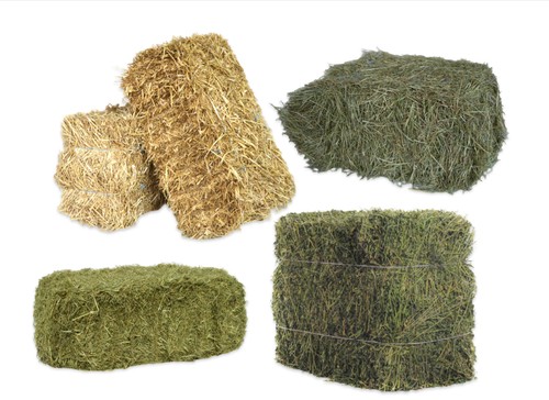 Agrar store heu stroh 1 - heu, 1-20kg