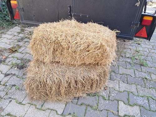 Heu kleiner ballen für - kleiner,