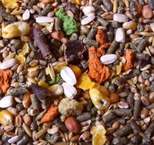 Meerschweinchenfutter-Nagerfut