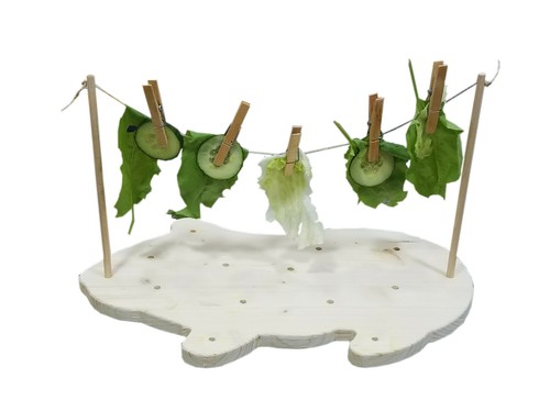 Meerschweinchen kleintier - ,