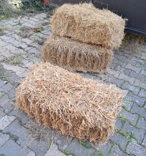 Stroh kleiner ballen für - stroh,