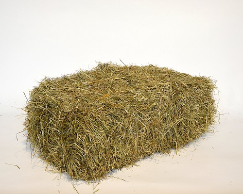 Schnitt frisches - 16, kg